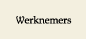 Werknemers