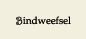 Bindweefsel